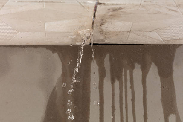 Professional Water Damage Repair technician working in Grafton, OH